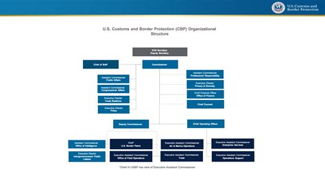 cbp roles and responsibilities